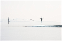 DSC_2559-Edit