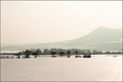 DSC_2588-Edit-2