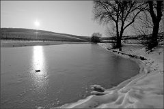 DSC_2758-Edit