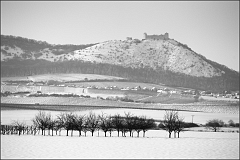 DSC_2778-Edit