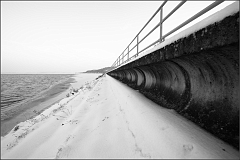 DSC_2831-Edit