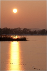 DSC_2847-Edit