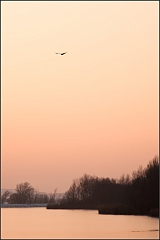 DSC_2851-Edit