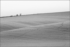 DSC_2900-Edit
