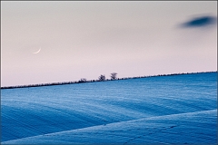 DSC_2912-Edit
