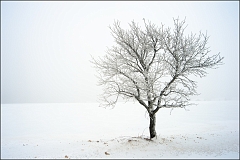 DSC_2958-Edit-Edit