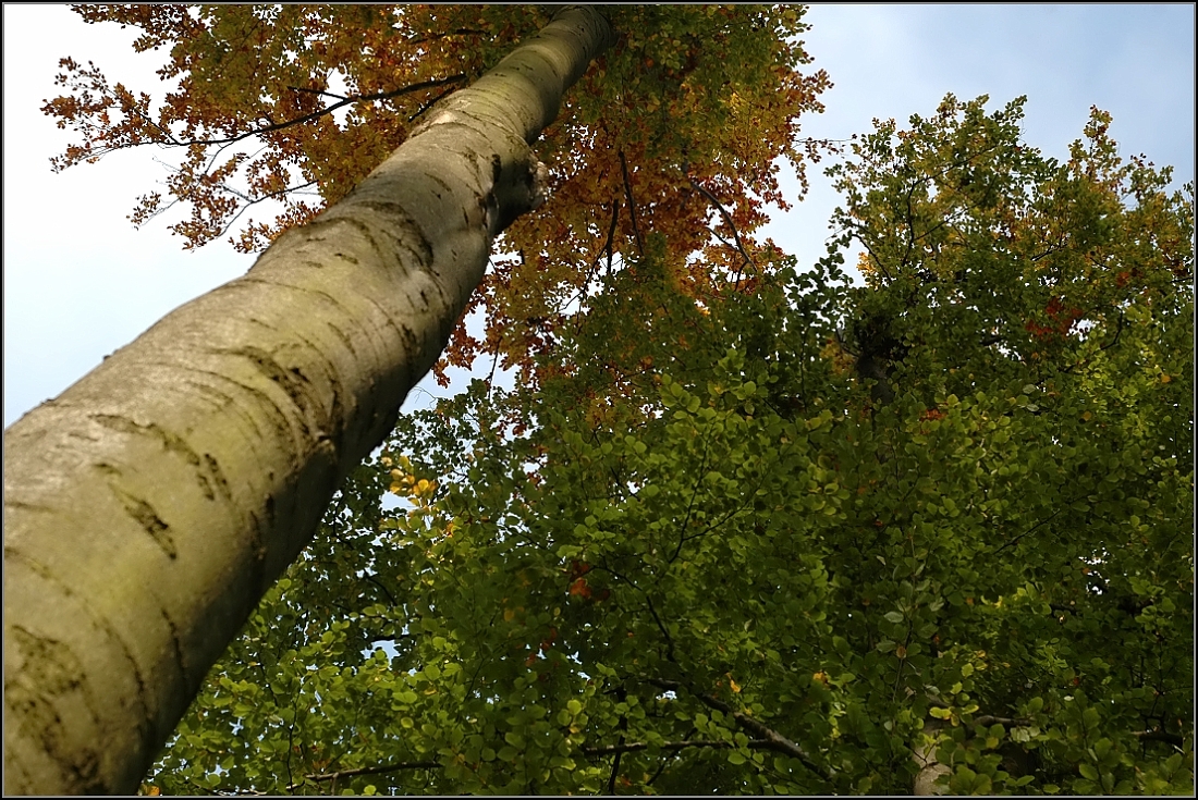 DSC_0031.jpg
