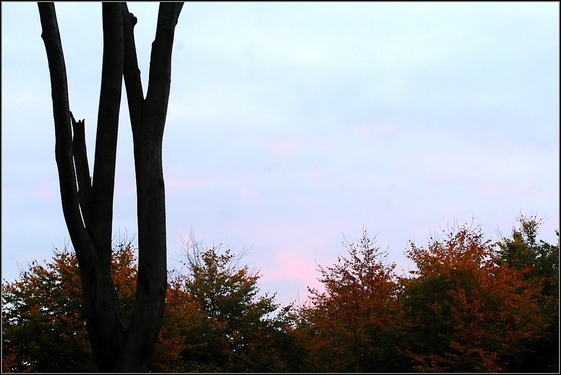 DSC_9963.jpg