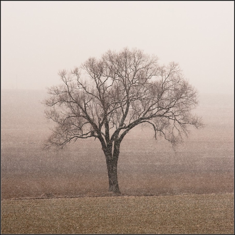 DSC_4691-Edit.jpg
