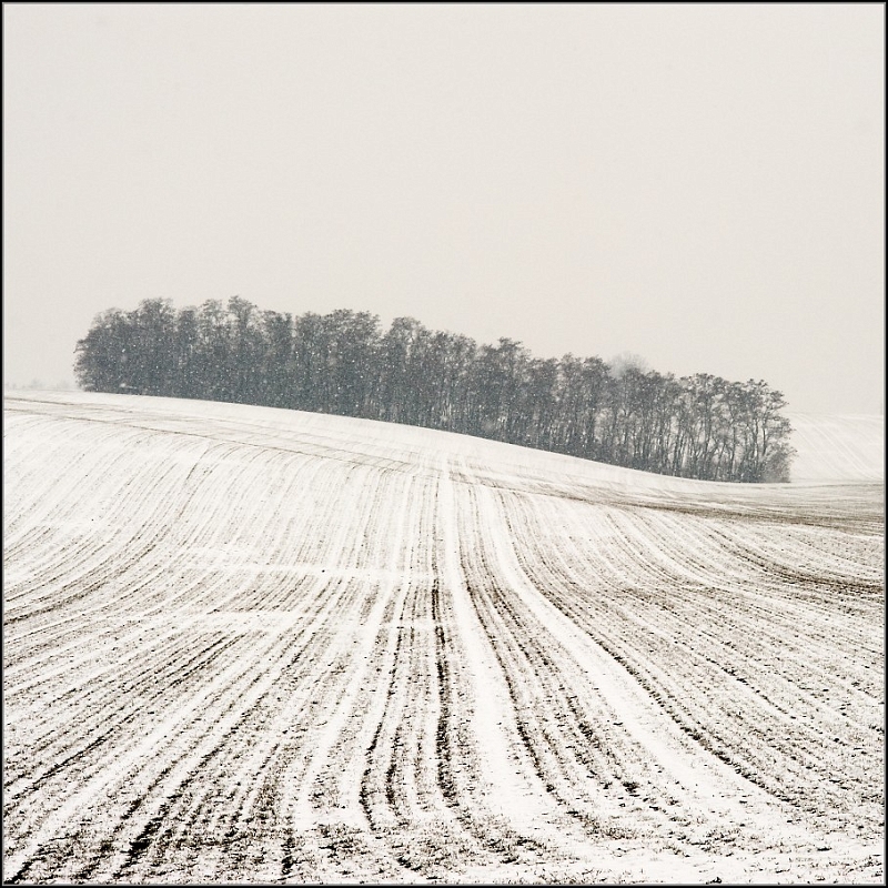 DSC_4695-Edit.jpg