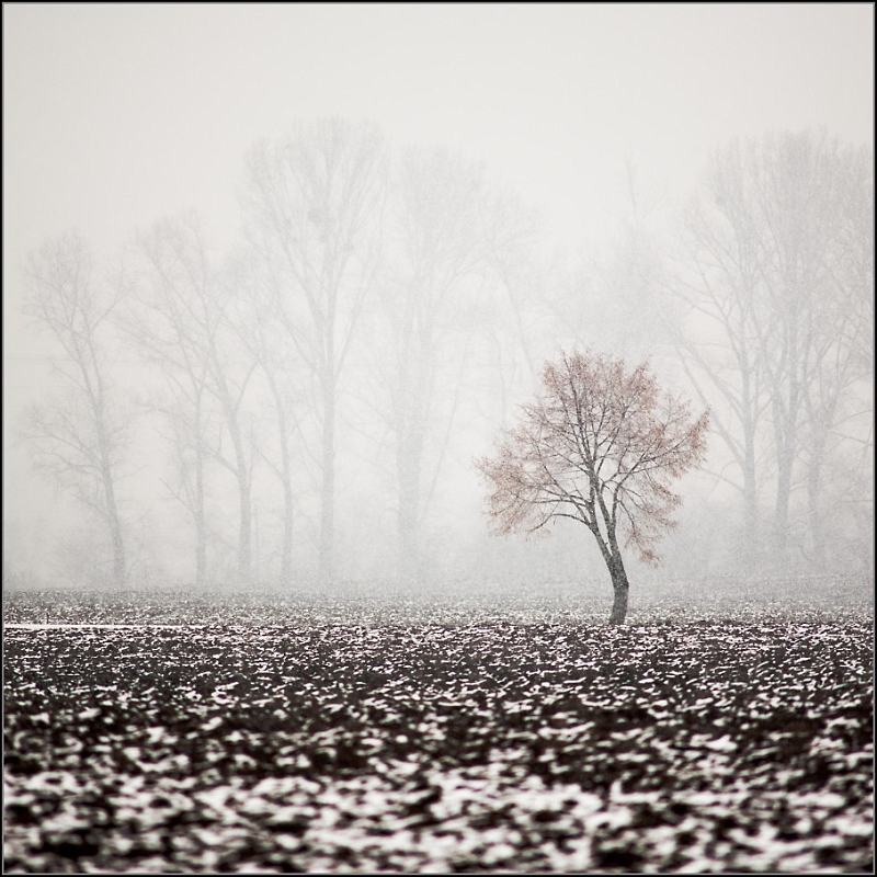 DSC_4705-Edit.jpg