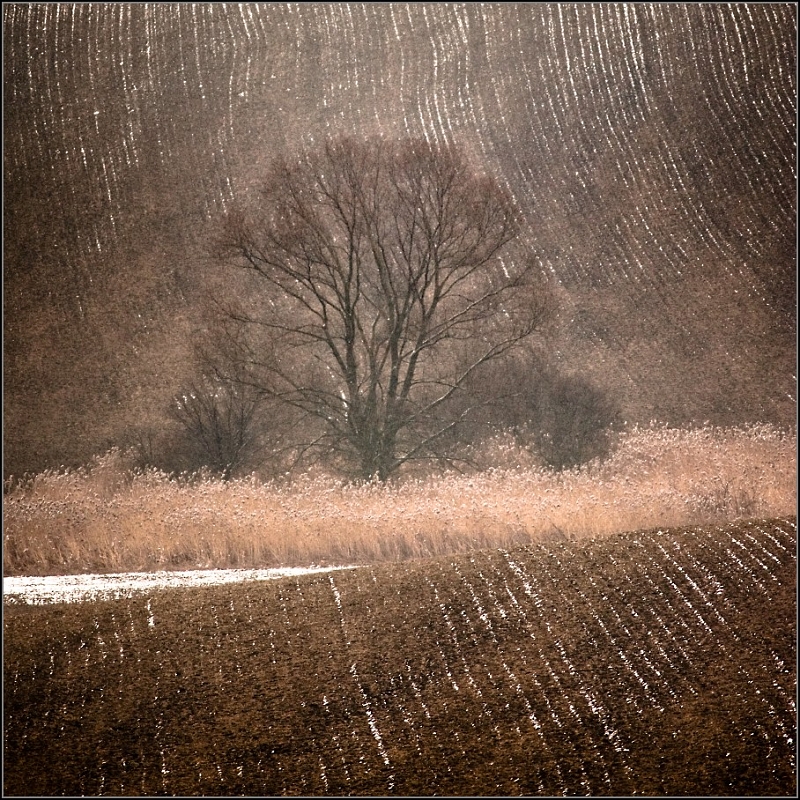 DSC_4707-Edit.jpg