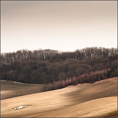 DSC_4655-Edit