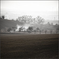 DSC_4663-Edit
