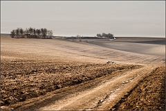 DSC_4679-Edit