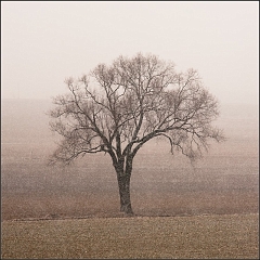 DSC_4691-Edit