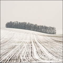 DSC_4695-Edit
