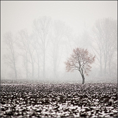 DSC_4705-Edit
