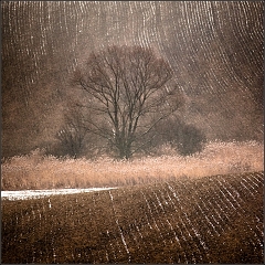 DSC_4707-Edit
