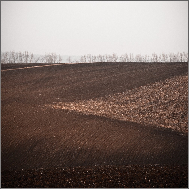 DSC_4937-Edit-Edit.jpg