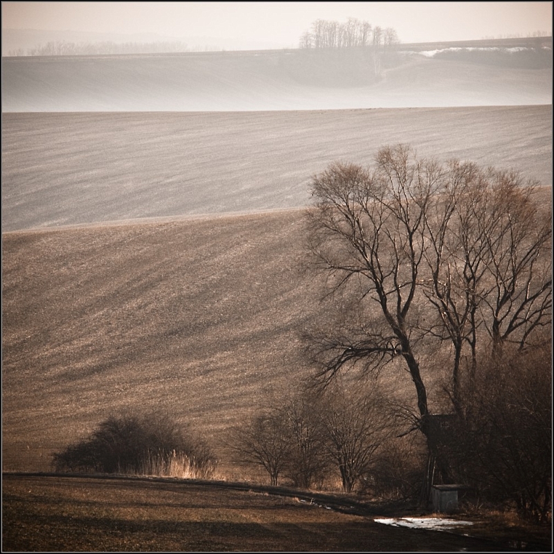DSC_4967-Edit.jpg