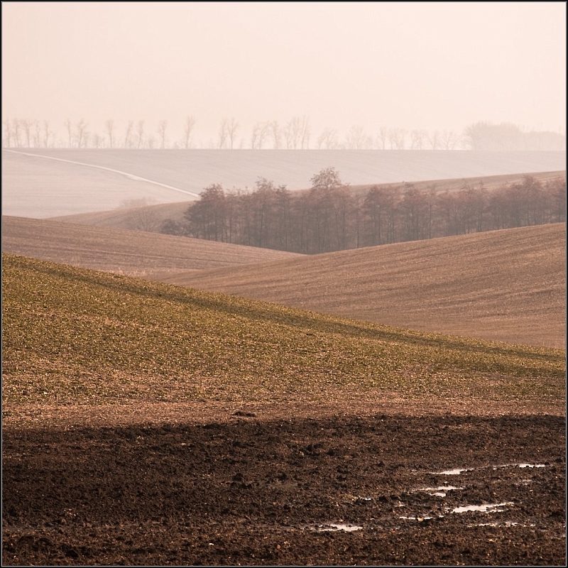DSC_4977-Edit.jpg