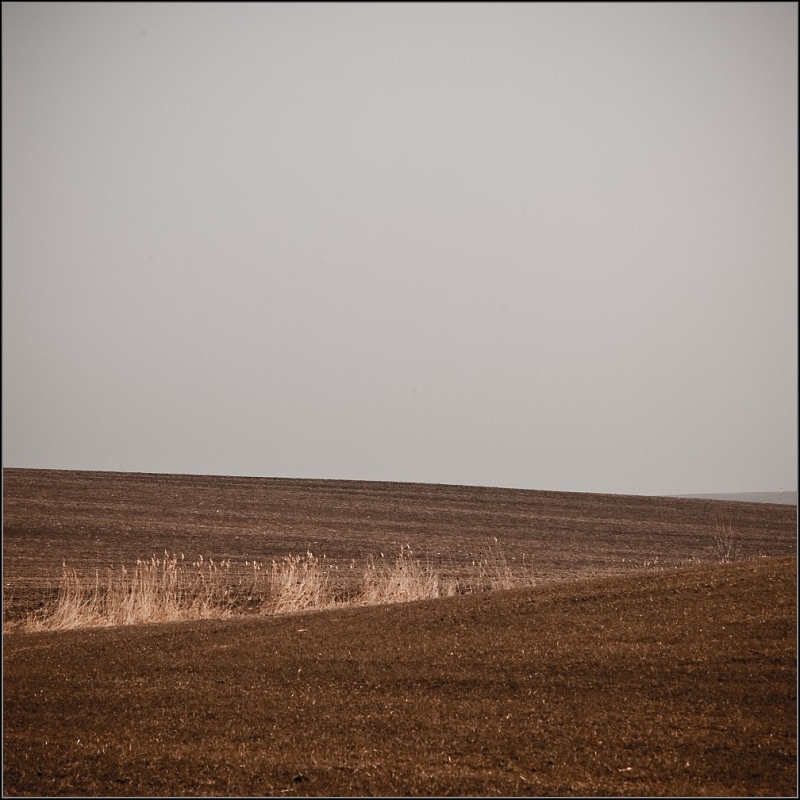 DSC_5007-Edit.jpg