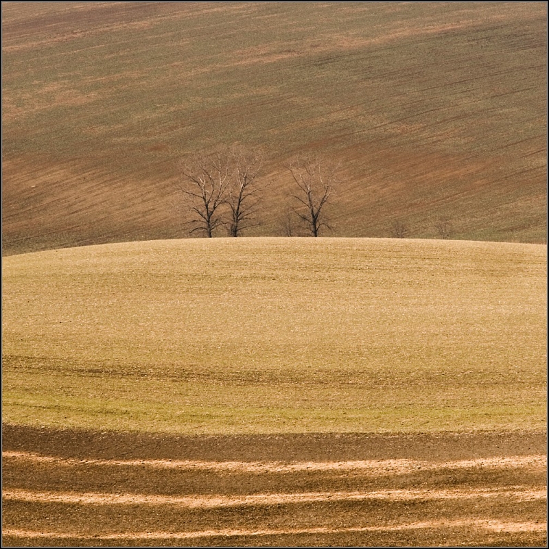 DSC_5248-Edit.jpg