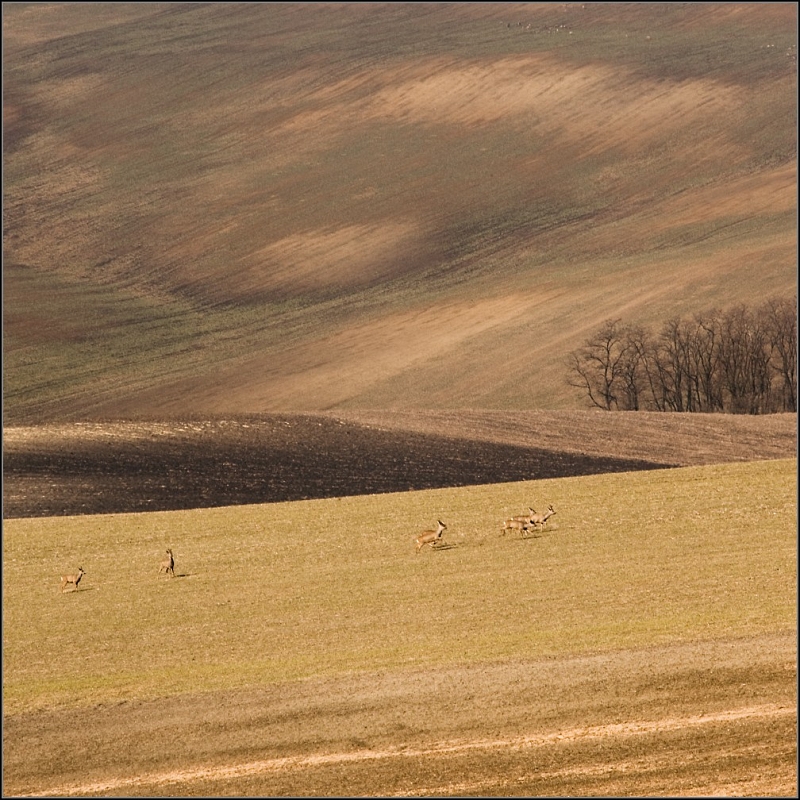 DSC_5254-Edit.jpg