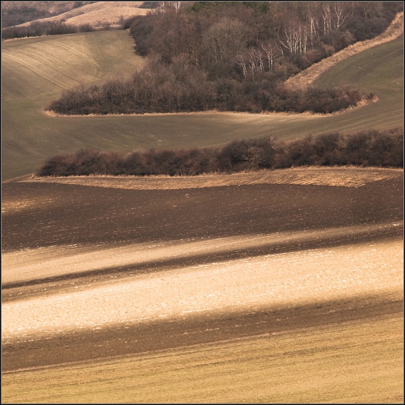 DSC_5258-Edit.jpg