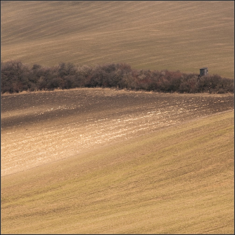 DSC_5264-Edit.jpg