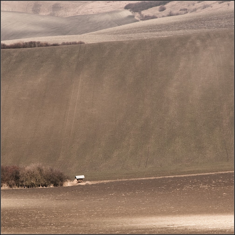 DSC_5276-Edit.jpg