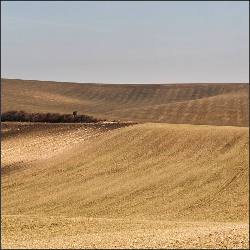 DSC_5282-Edit-Edit.jpg