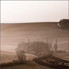 DSC_4894-Edit