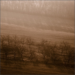 DSC_4911-Edit