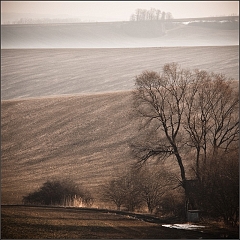 DSC_4967-Edit
