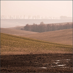 DSC_4977-Edit
