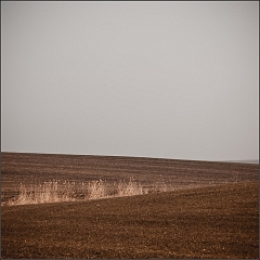 DSC_5007-Edit