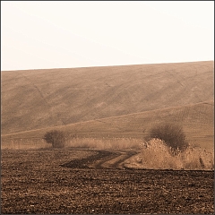 DSC_5010-Edit