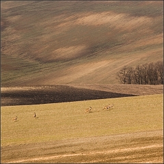 DSC_5254-Edit