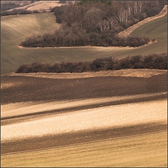 DSC_5258-Edit