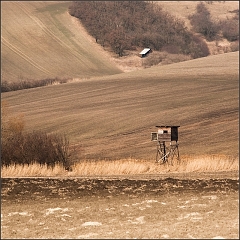 DSC_5297-Edit