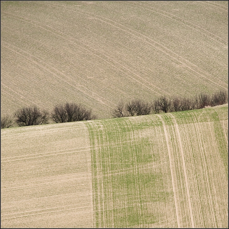 DSC_5496-Edit.jpg
