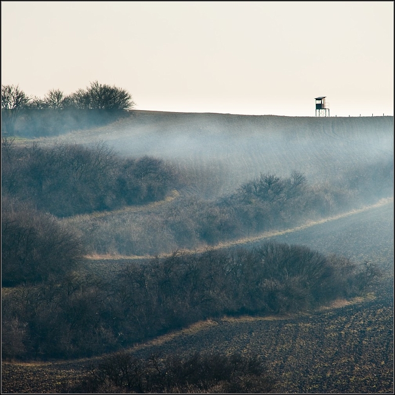DSC_5523-Edit.jpg