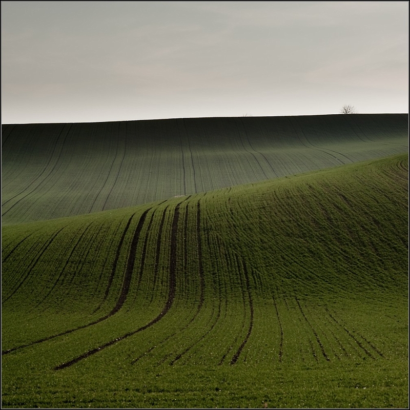 DSC_5566-Edit.jpg