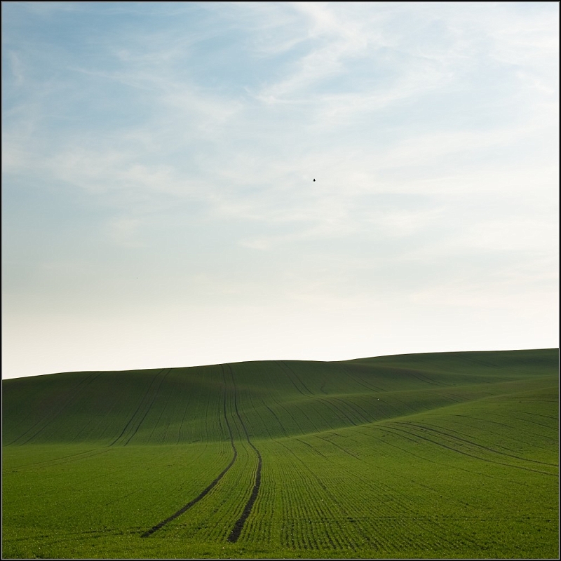 DSC_5592-Edit.jpg
