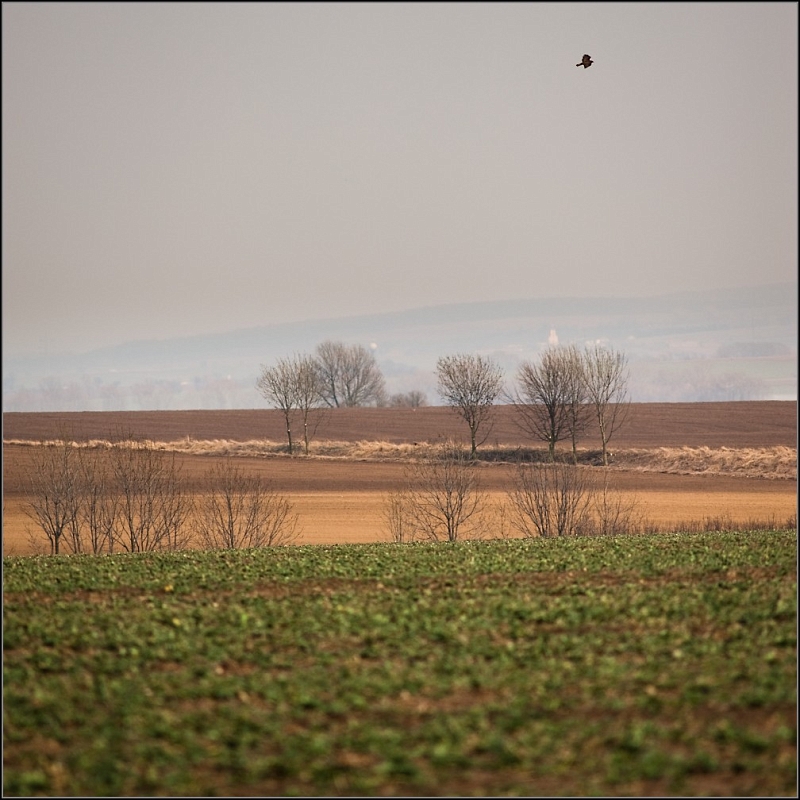 DSC_5710-Edit.jpg
