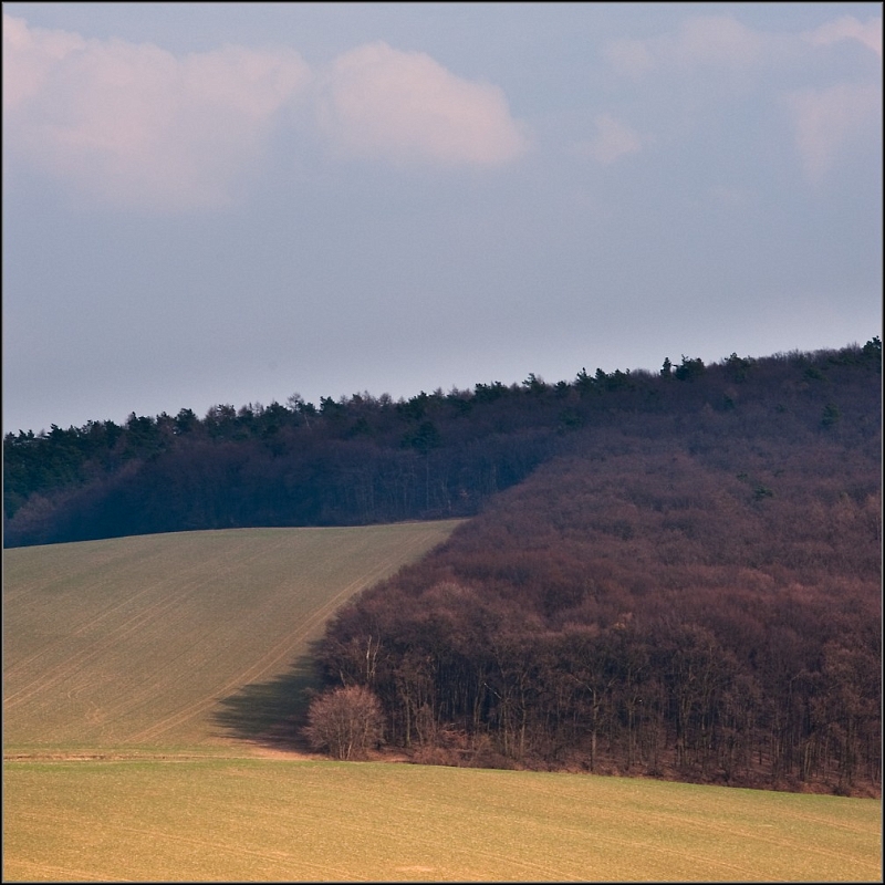 DSC_5724-Edit.jpg