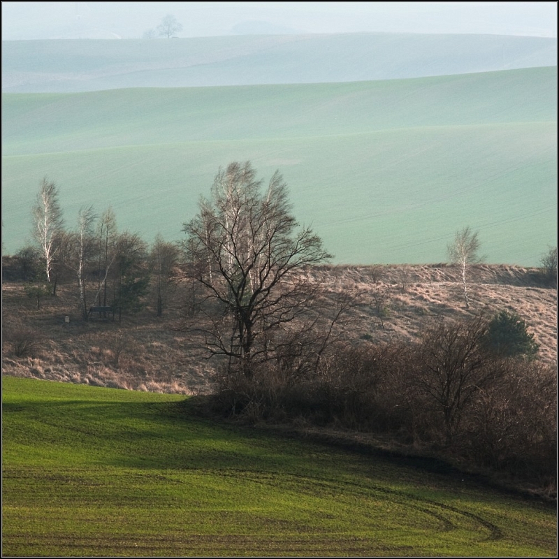 DSC_5739-Edit.jpg