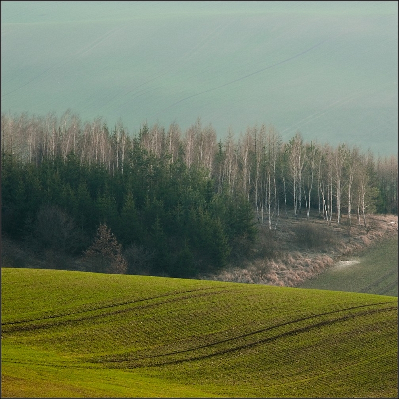 DSC_5741-Edit.jpg